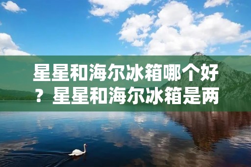 星星和海尔冰箱哪个好？星星和海尔冰箱是两个完全不同的事物，很难进行直接的比较。星星是天空中的天体，而海尔冰箱是一种用于冷藏和储存食物的家电设备。然而，我们可以从不同的角度来探讨这个问题，比如它们的美观度、实用性、功能性和环保性等方面。