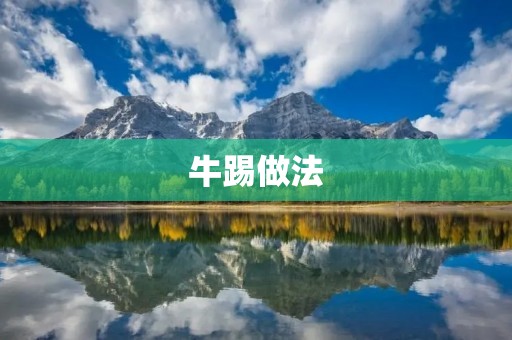 牛踢做法:美味又营养的家常菜 牛踢做法:美味又营养的家常菜