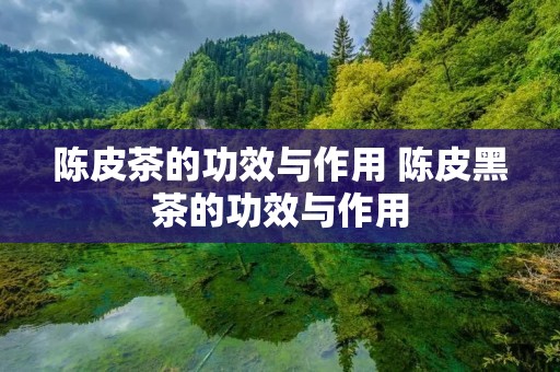 陈皮茶的功效与作用 陈皮黑茶的功效与作用