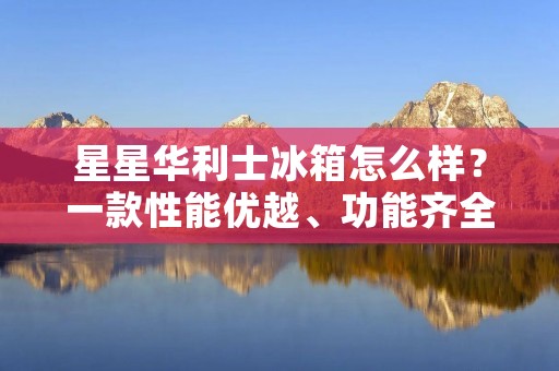 星星华利士冰箱怎么样？一款性能优越、功能齐全的家电产品