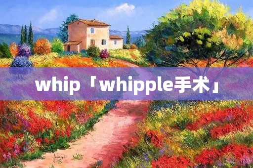 whip「whipple手术」