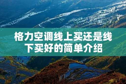 格力空调线上买还是线下买好的简单介绍 格力空调线上买还是线下买好的简单介绍