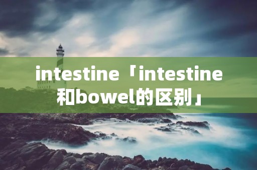 intestine「intestine和bowel的区别」