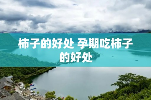 柿子的好处 孕期吃柿子的好处