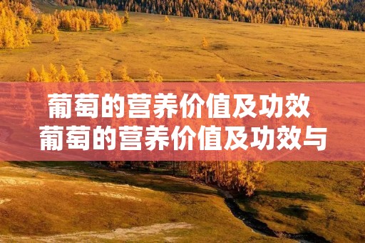 葡萄的营养价值及功效 葡萄的营养价值及功效与作用禁忌症有哪些
