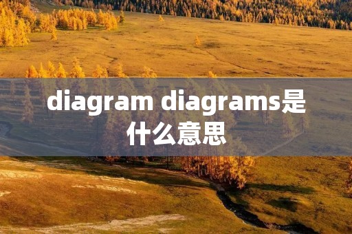 diagram diagrams是什么意思