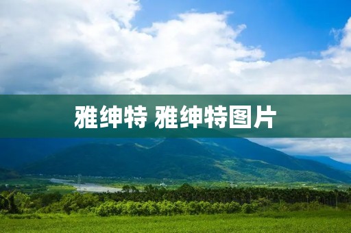 雅绅特 雅绅特图片