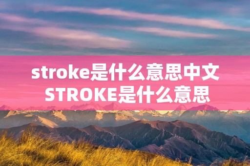 stroke是什么意思中文 STROKE是什么意思