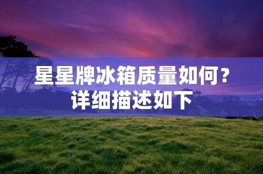 星星牌冰箱质量如何？详细描述如下：