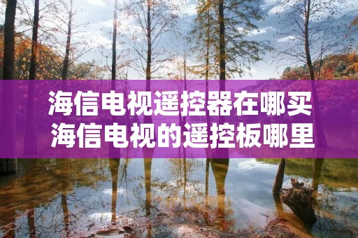 海信电视遥控器在哪买 海信电视的遥控板哪里有卖的 海信电视遥控器在哪买 海信电视的遥控板哪里有卖的