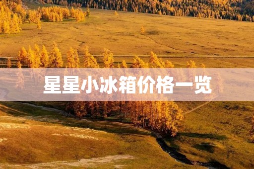 星星小冰箱价格一览：了解星星小冰箱的价格及特点