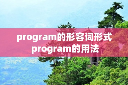 program的形容词形式 program的用法