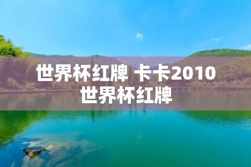 世界杯红牌 卡卡2010世界杯红牌