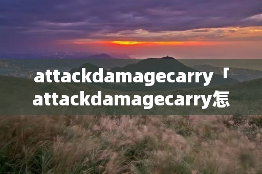 attackdamagecarry「attackdamagecarry怎么读」