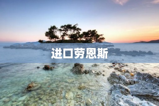 进口劳恩斯:奢华与品质的典范 进口劳恩斯:奢华与品质的典范
