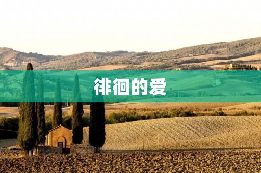 徘徊的爱:深陷其中的心灵之旅