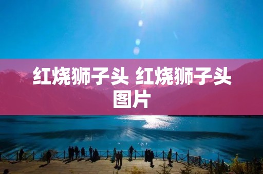 红烧狮子头 红烧狮子头图片 红烧狮子头 红烧狮子头图片