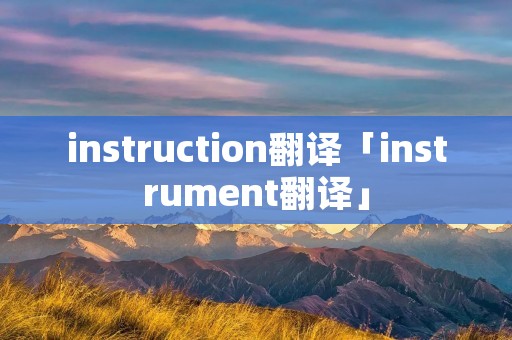 instruction翻译「instrument翻译」