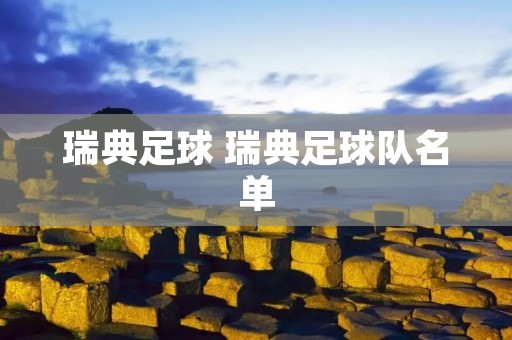 瑞典足球 瑞典足球队名单