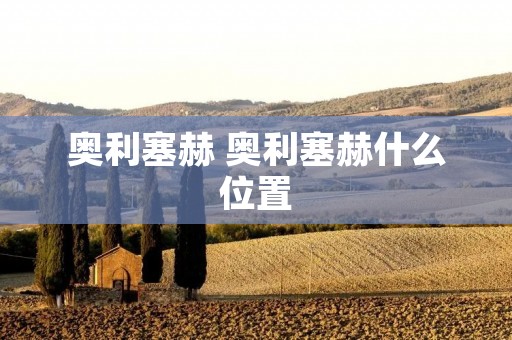 奥利塞赫 奥利塞赫什么位置