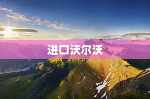 进口沃尔沃:品质与安全的典范 进口沃尔沃:品质与安全的典范