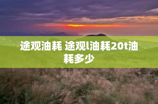 途观油耗 途观l油耗20t油耗多少