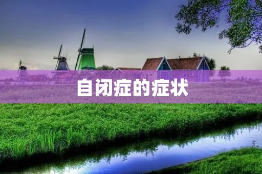 自闭症的症状:详细描述