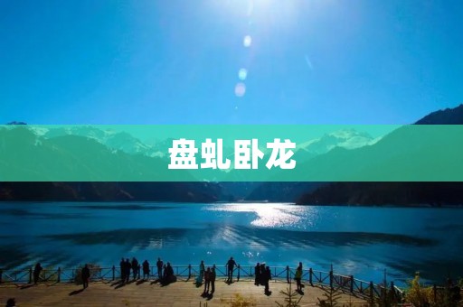 盘虬卧龙:一段传奇的历史故事