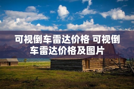 可视倒车雷达价格 可视倒车雷达价格及图片