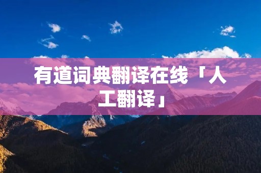 有道词典翻译在线「人工翻译」