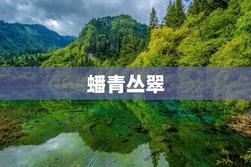 蟠青丛翠:大自然的翡翠宝藏