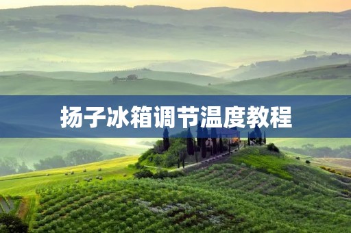 扬子冰箱调节温度教程：如何正确设置冰箱温度