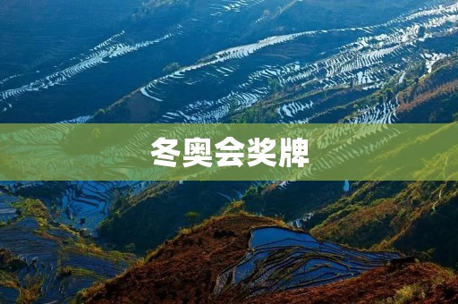 冬奥会奖牌：勇气与荣耀的象征