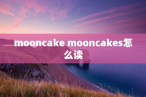 mooncake mooncakes怎么读