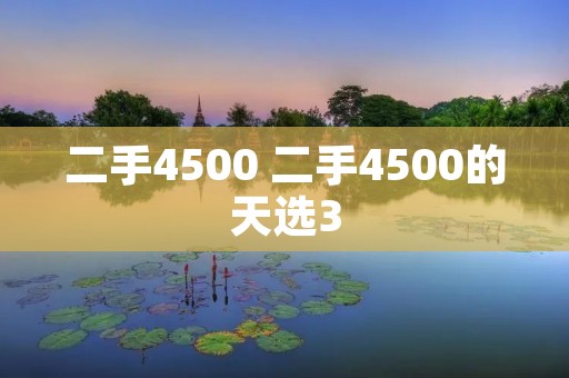 二手4500 二手4500的天选3