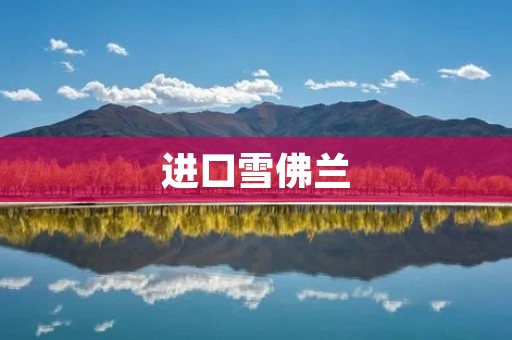 进口雪佛兰:豪华品质与卓越性能的完美结合 进口雪佛兰:豪华品质与卓越性能的完美结合