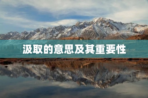 汲取的意思及其重要性