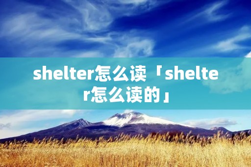 shelter怎么读「shelter怎么读的」