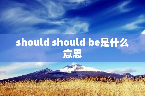 should should be是什么意思