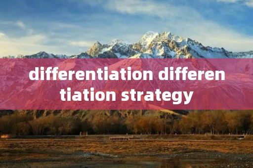 differentiation differentiation strategy