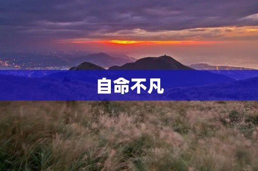 自命不凡:探寻个人独特之处