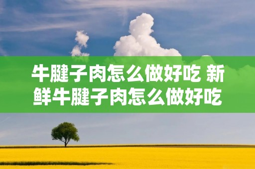 牛腱子肉怎么做好吃 新鲜牛腱子肉怎么做好吃