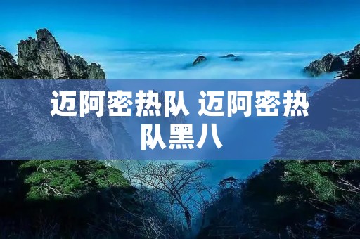 迈阿密热队 迈阿密热队黑八