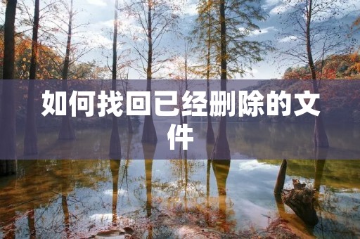如何找回已经删除的文件