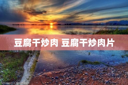 豆腐干炒肉 豆腐干炒肉片