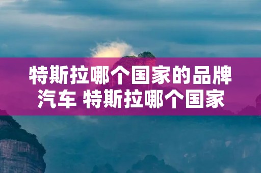 特斯拉哪个国家的品牌汽车 特斯拉哪个国家的品牌汽车最好