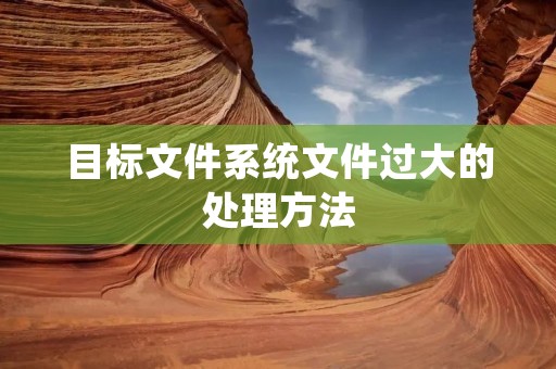 目标文件系统文件过大的处理方法