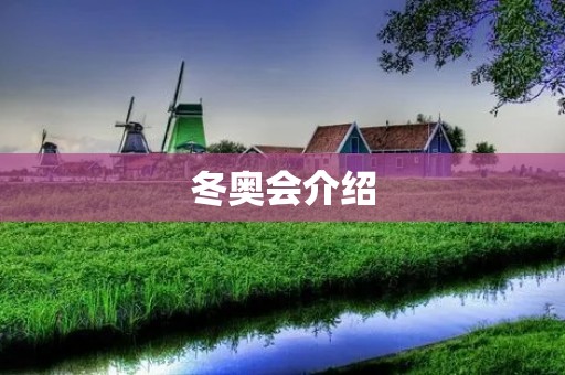 冬奥会介绍：展示冰雪魅力，促进友谊与和平