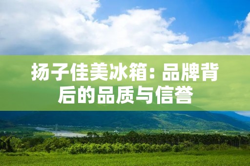 扬子佳美冰箱: 品牌背后的品质与信誉