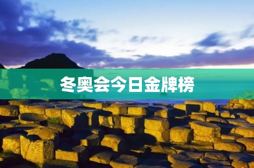 冬奥会今日金牌榜：中国代表团斩获领先优势